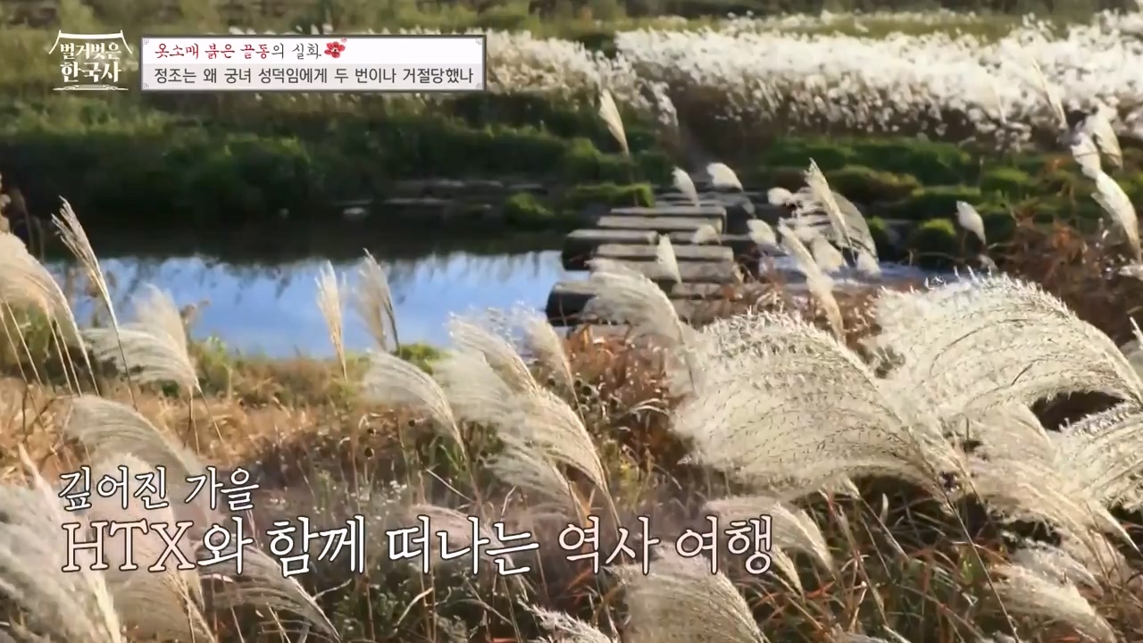 벌거벗은 한국사.E79.231026p-NEXT.mp4_20240525_180039.291.jpg