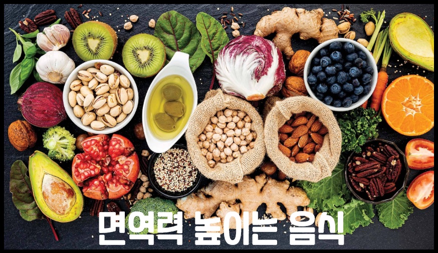 면역력 높이는 음식