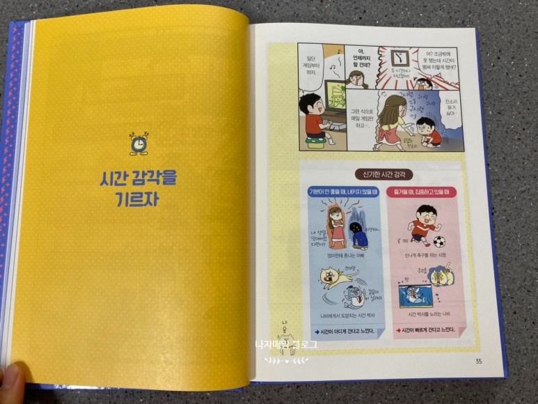학습만화 초등추천도서 초등학습 레벨업 시리즈 13