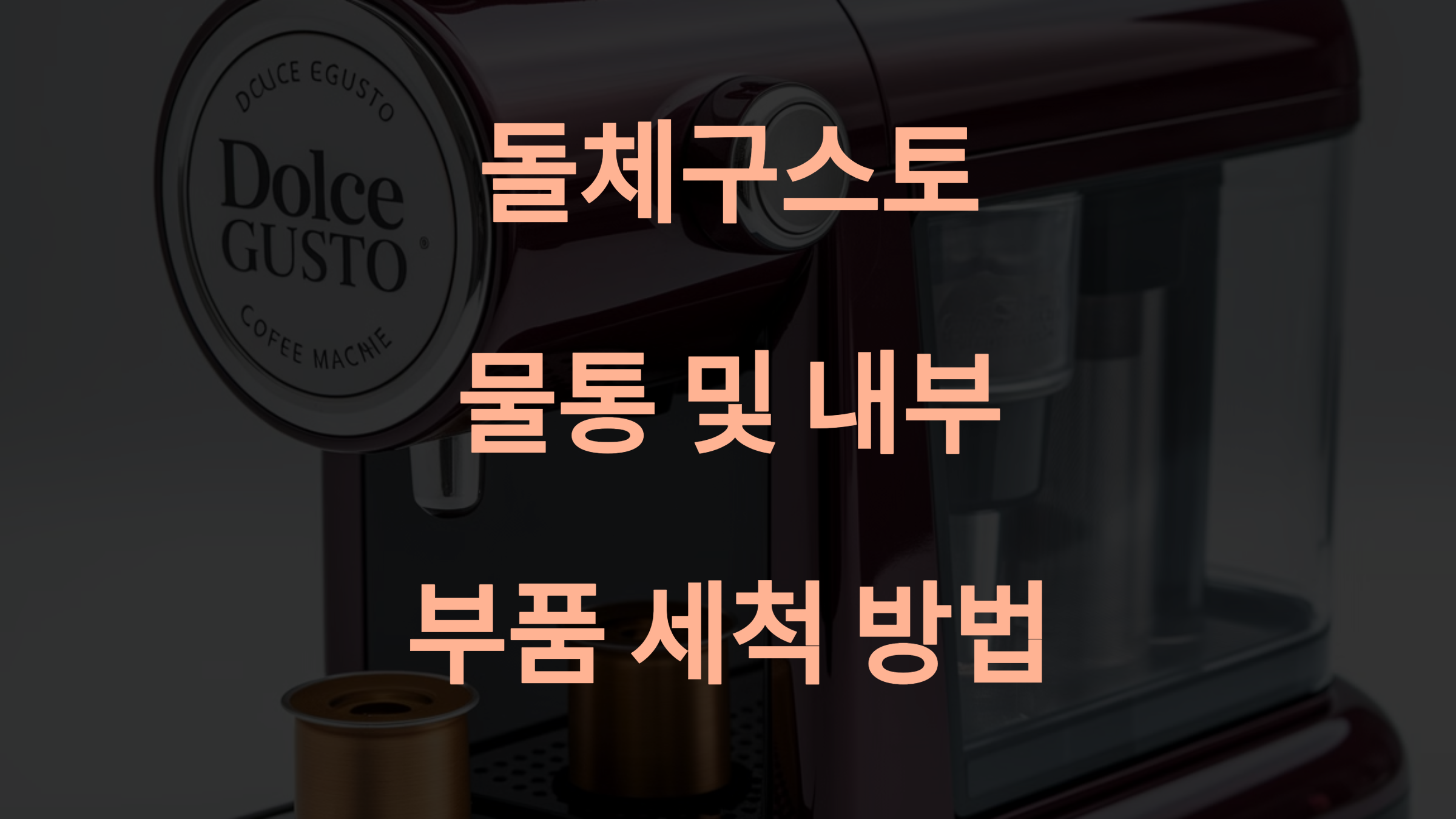 돌체구스토 세척방법