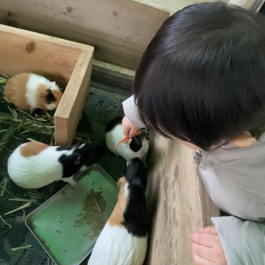 추라우미 수족관&amp;#44; 네오파크 동물원&amp;#44; 만좌모