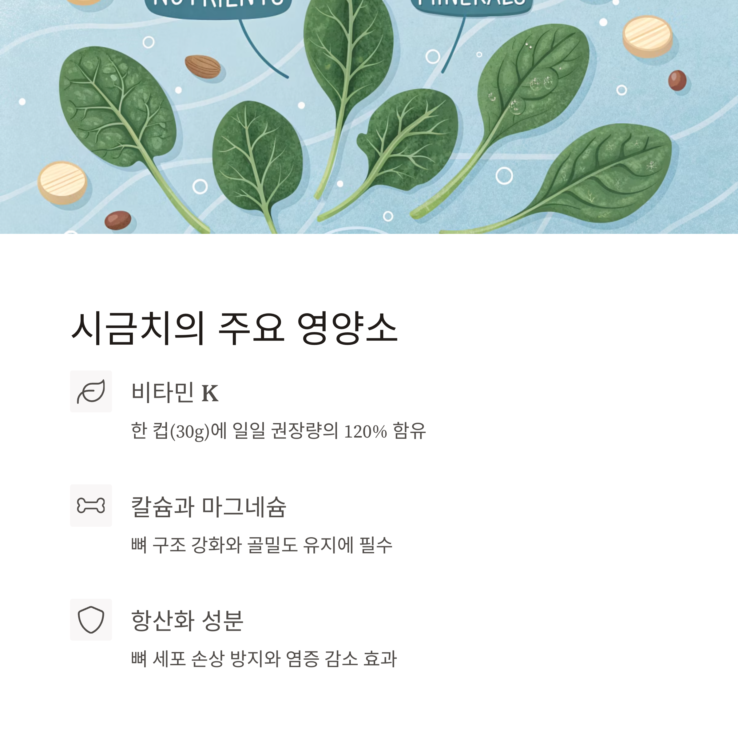 시금치 주요 영양소