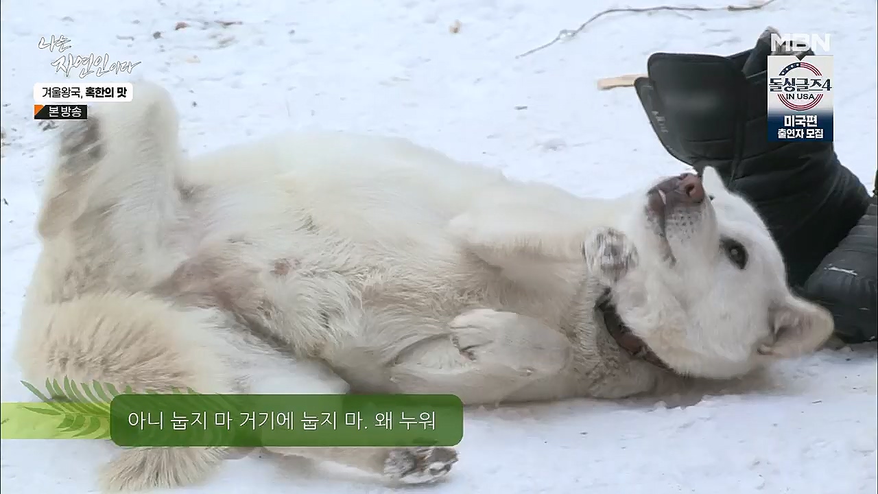 나는 자연인이다.E536.230112p.H264-F1RST.mp4_20230112_193513.571.jpg