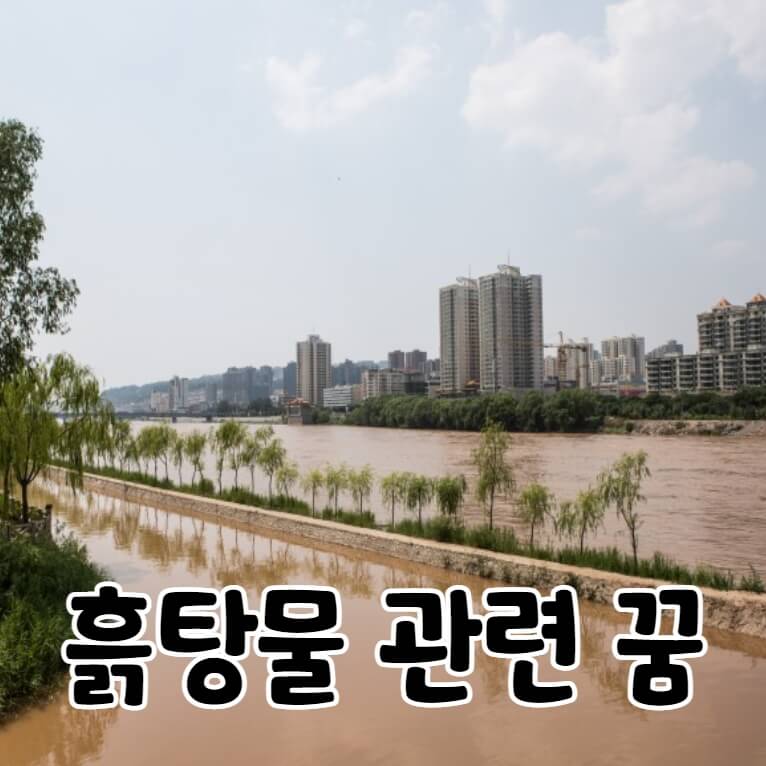 흙탕물이 넘친 강