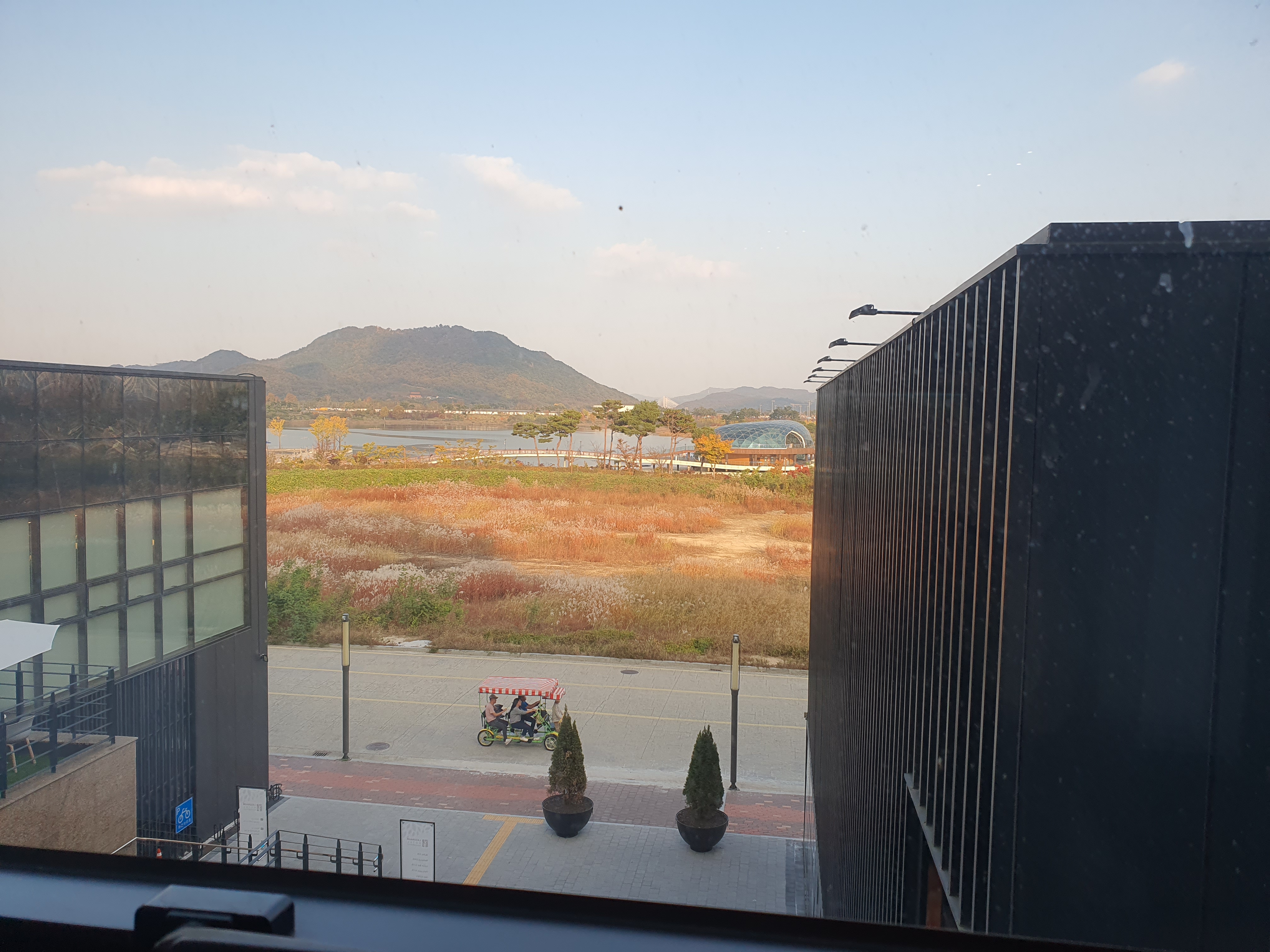 세종 라고바움호텔 서비스 주차 객실 정보 세종 호수공원 뷰 후기