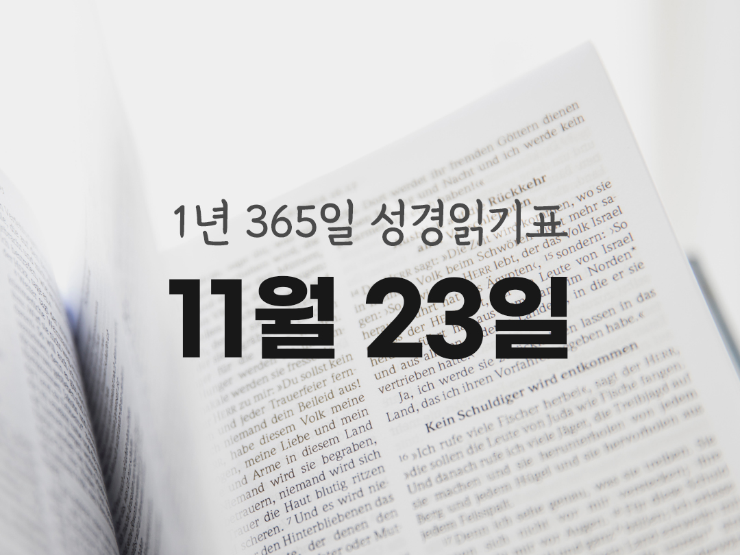 1년 365일 성경읽기표 11월 23일 로마서 성경읽기 진도표 다운로드