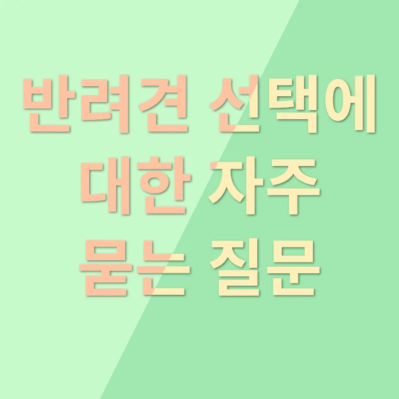 반려견 선택_4