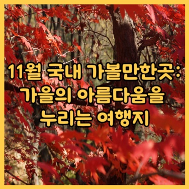 11월 국내 가볼만한곳