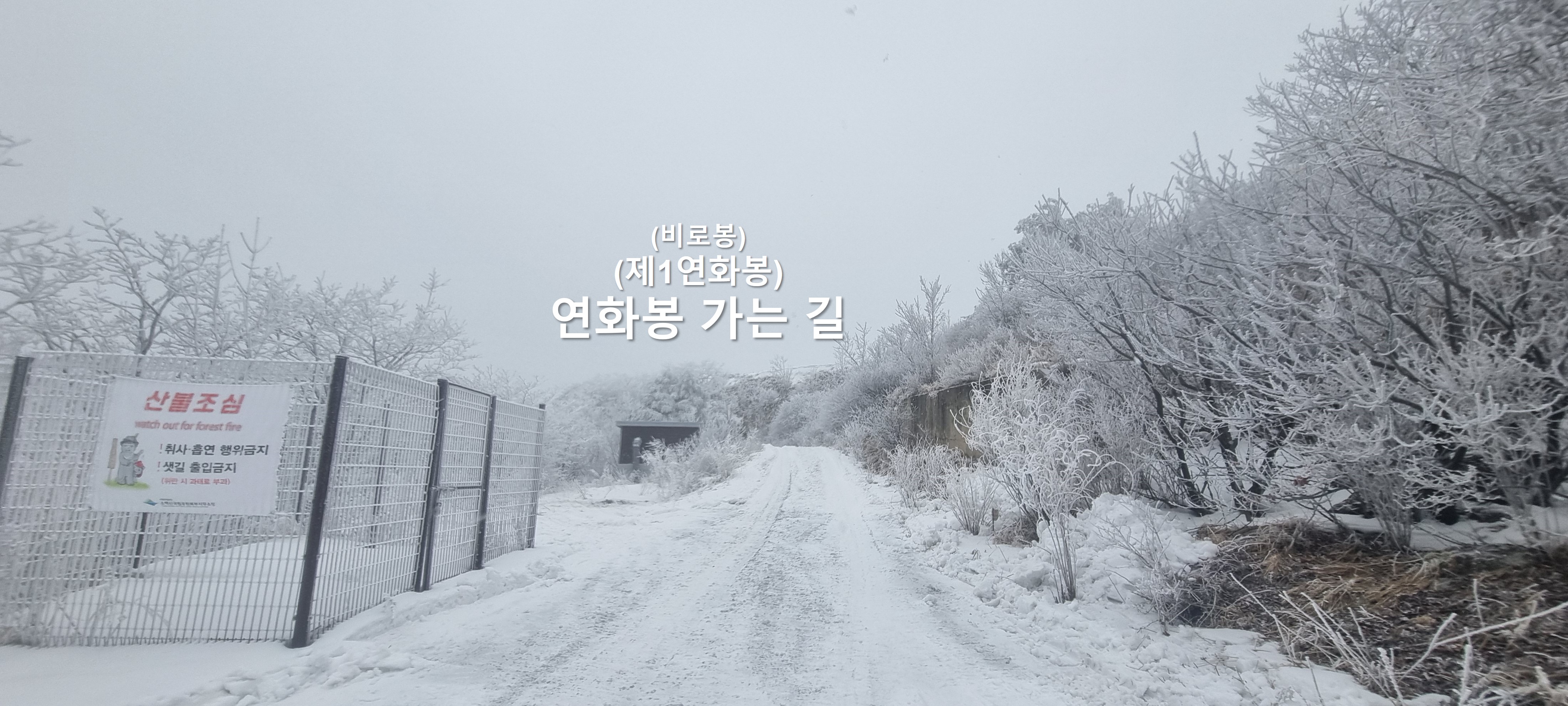 죽령휴게소 이미지