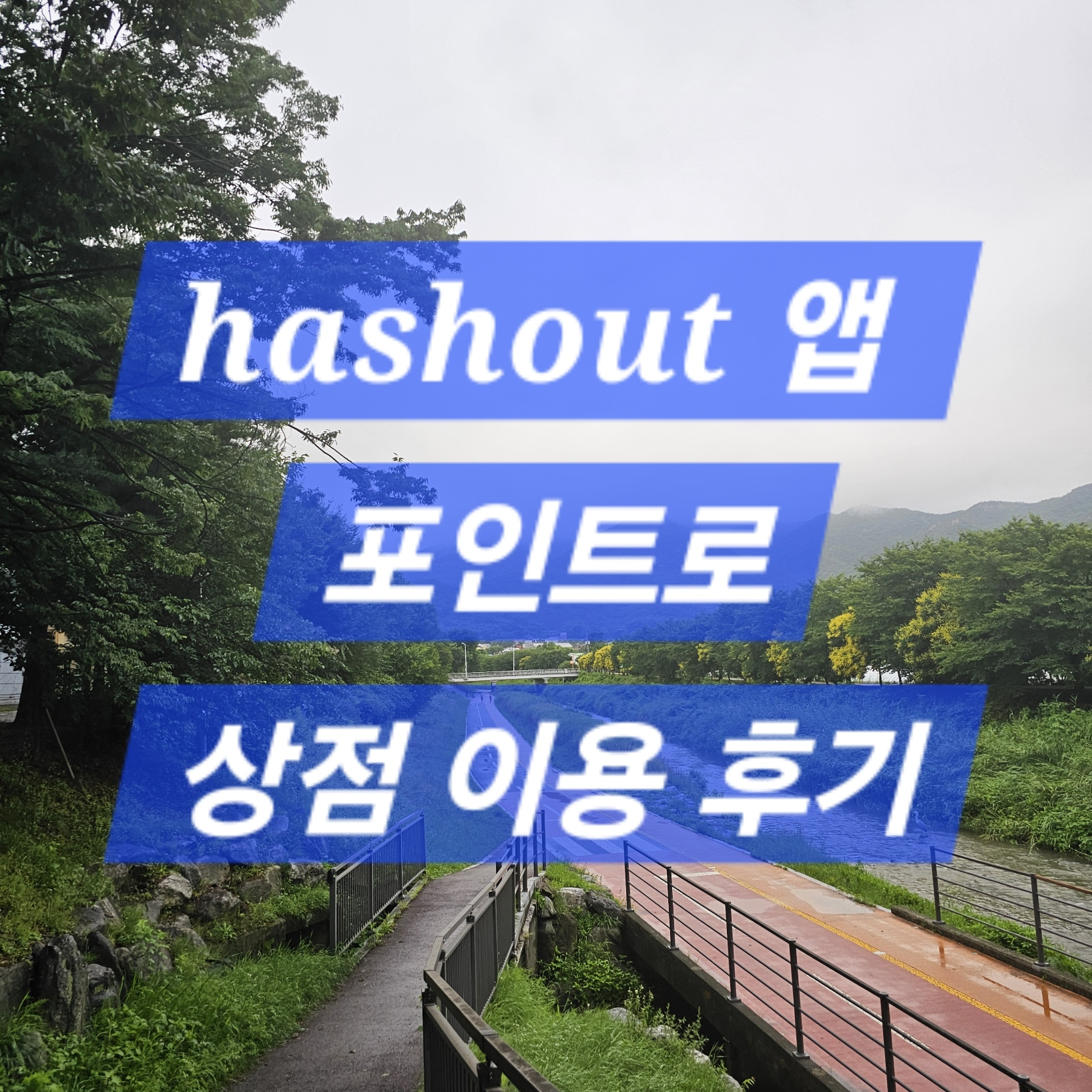 hashout 어플 상점 이용 후기