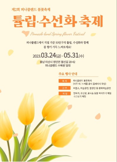 3월 축제 가볼만한 곳