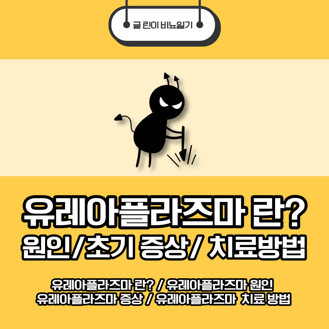  유레아플라즈마 란? 원인/초기 증상/치료 방법
