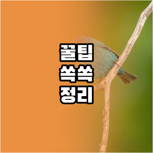 제주도 산방산 근처 호텔 추천 5곳 