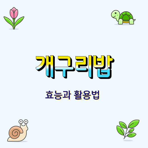  개구리밥 효능과 활용법 그리고 주의점