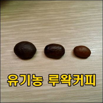  유기농 루왁커피를 내려보다.