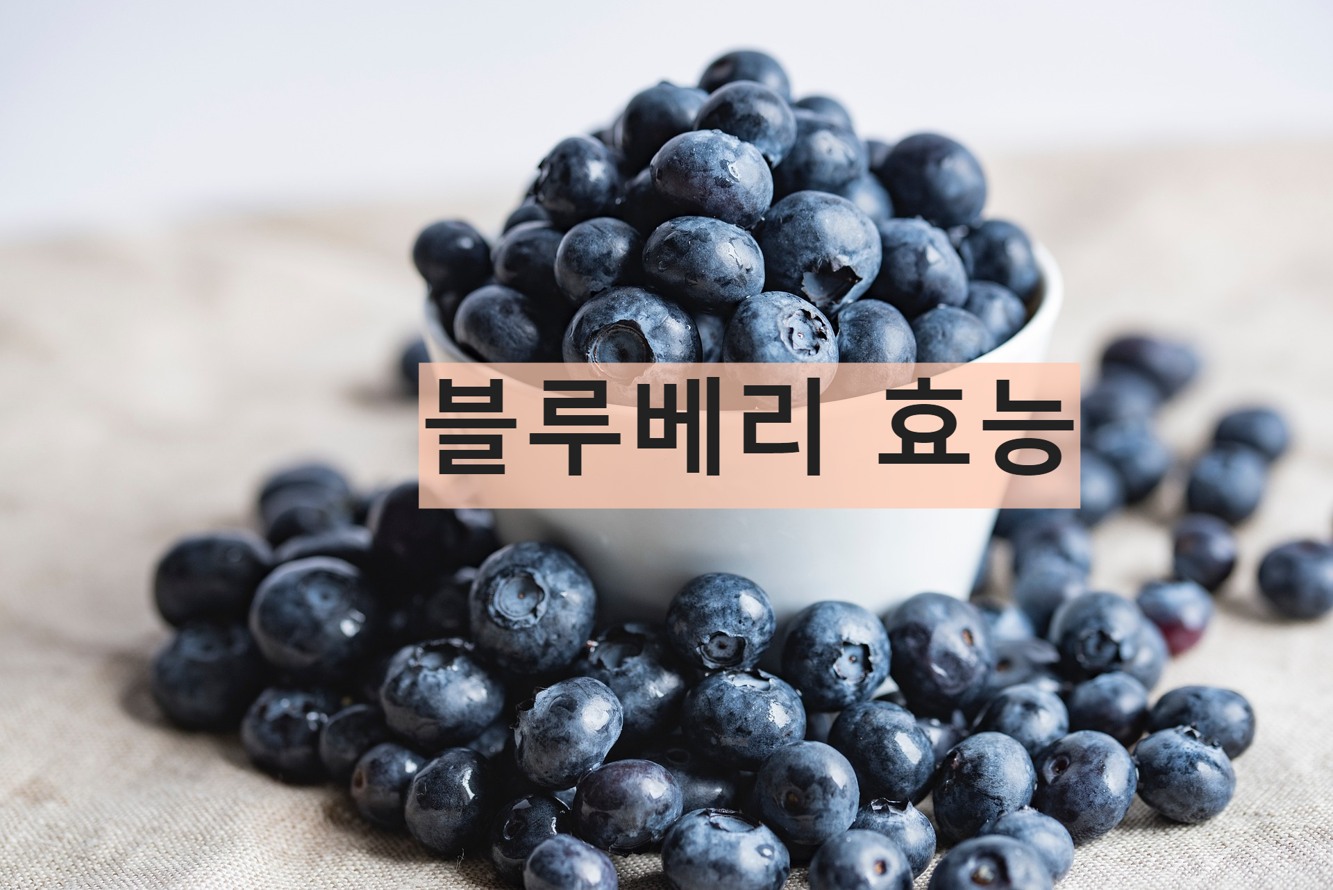 블루베리 이미지