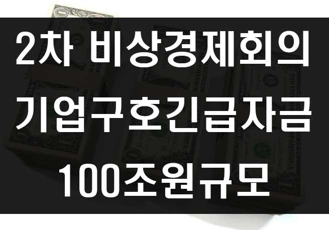  2차 비상경제회의 기업구호긴급자금 100조 투입