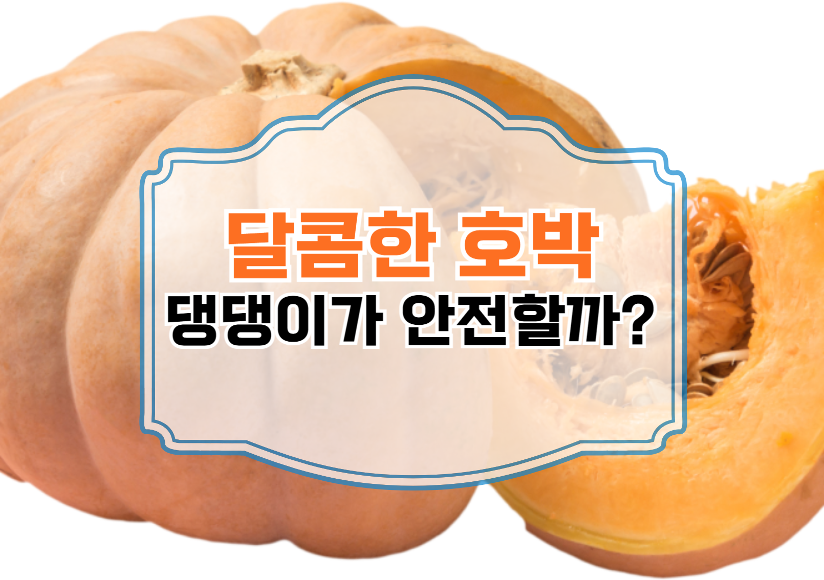 강아지, 당분 많은 호박 먹어도 괜찮을까?