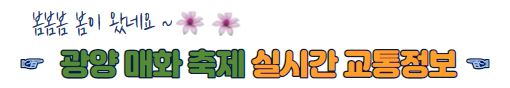 2023 광양 매화 축제 알아보기