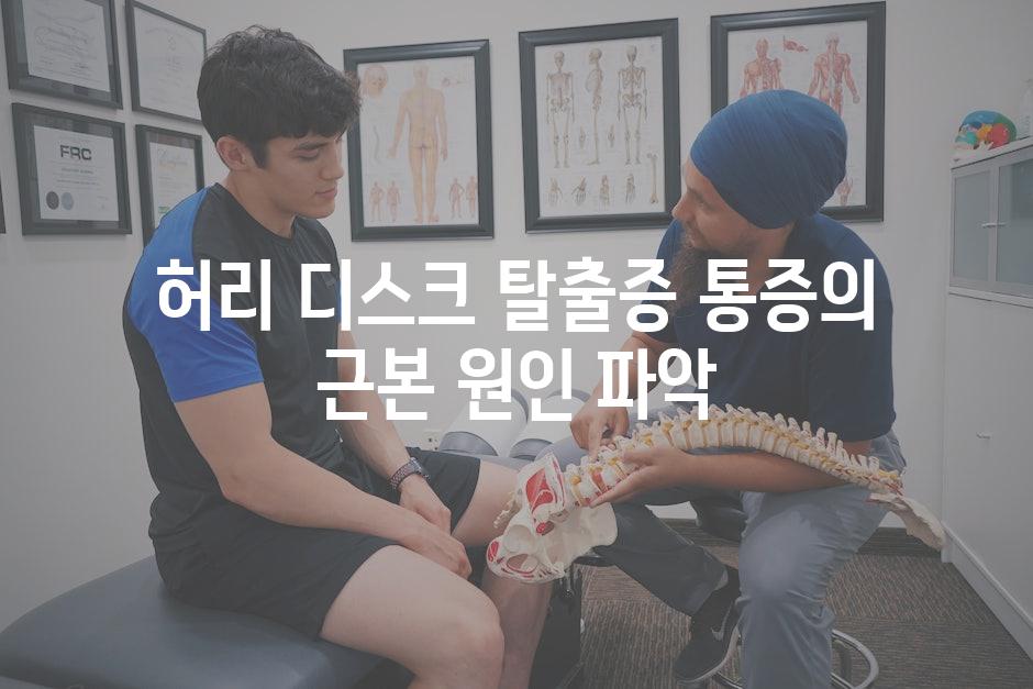 허리 디스크 탈출증 통증의 근본 원인 파악
