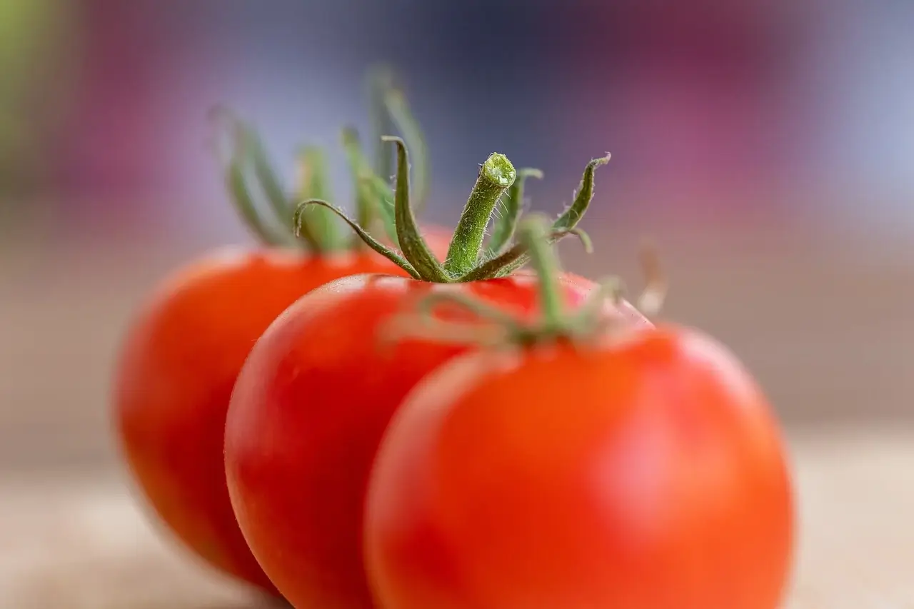 Pomodoro 기법으로 시간 관리:집중력, 에너지 회복, 목표 설정 방법