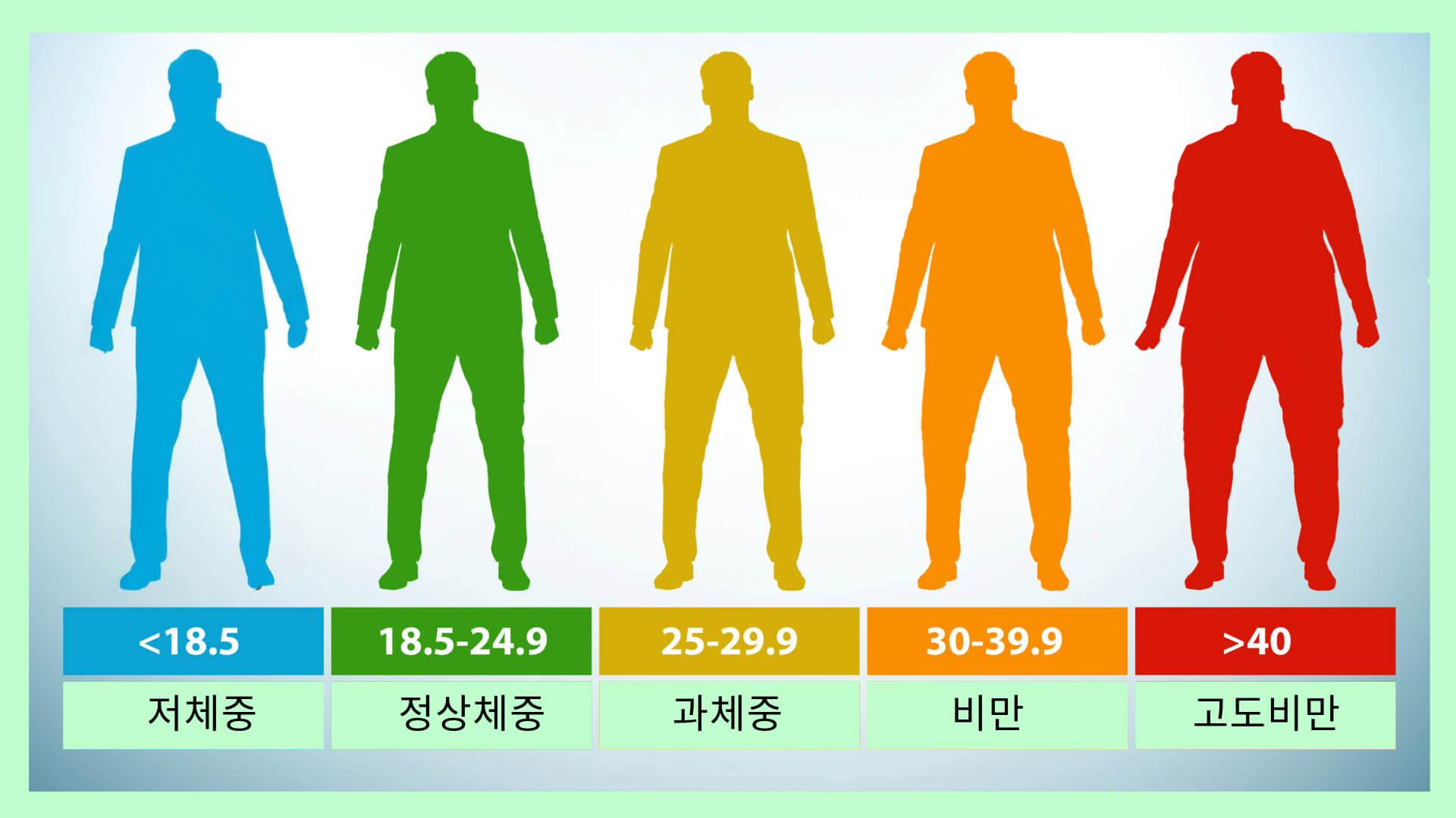 BMI의 분류 기준