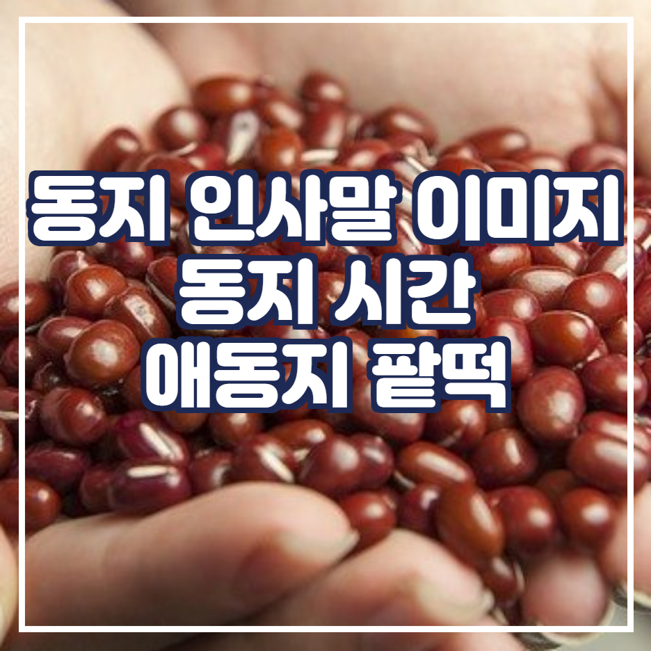  동지 인사말 이미지 애동지