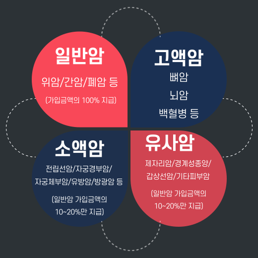 유사암-일반암-소액암-고액암-차이