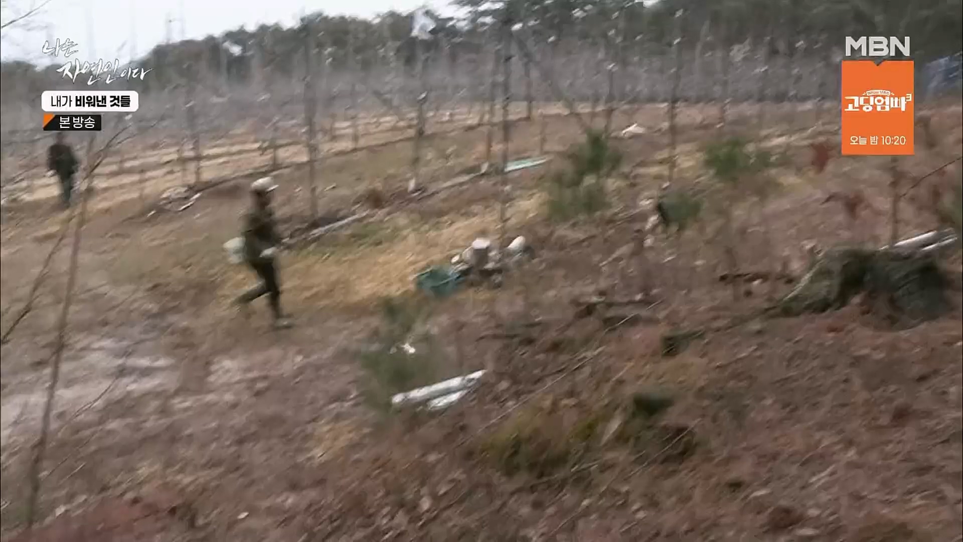 나는 자연인이다.E543.230301p.H264-F1RST.mp4_20230302_192650.068.jpg