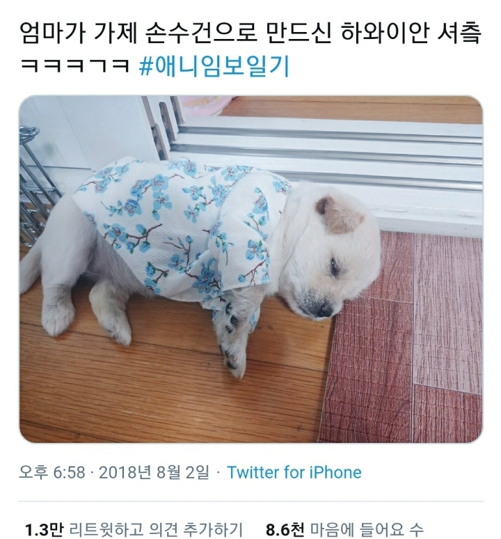  엄마가 하와이안 셔츠를 만들어 주셨는데