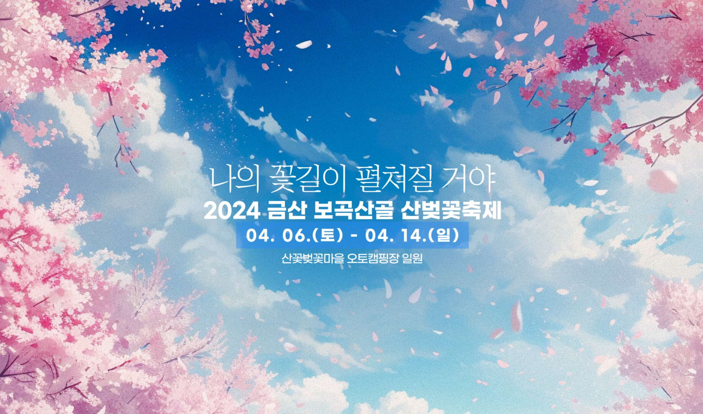 금산 보곡산골 산벚꽃 축제