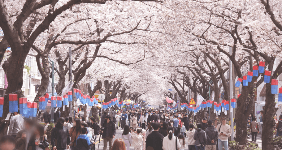 제주도 축제