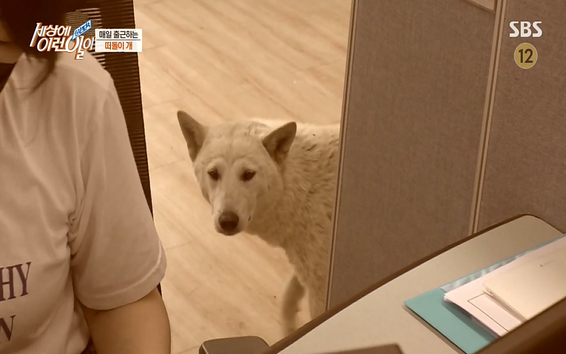 순간포착 세상에 이런일이.E1185.220622p-NEXT.mp4_20220622_201153.165.jpg