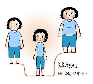  다이어트 - 요요현상  예방 전략