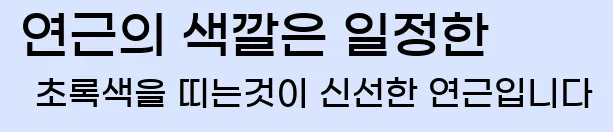  2. 연근의 색깔은 일정한 초록색을 띠는것이 신선한 연근입니다.
