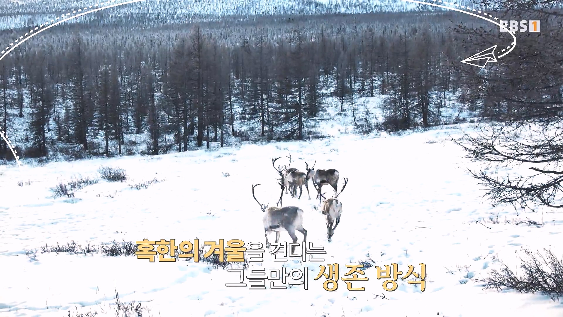 세계테마기행 240215 와일드 몽골 -알타이, 야생의 전설을 찾아서0p.mp4_20240802_201726.149.jpg