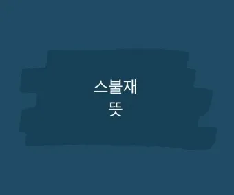 스불재 뜻 예시 의미 사용법_26