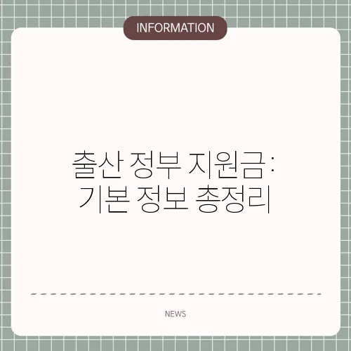 출산 정부 지원금: 기본 정보 총정리