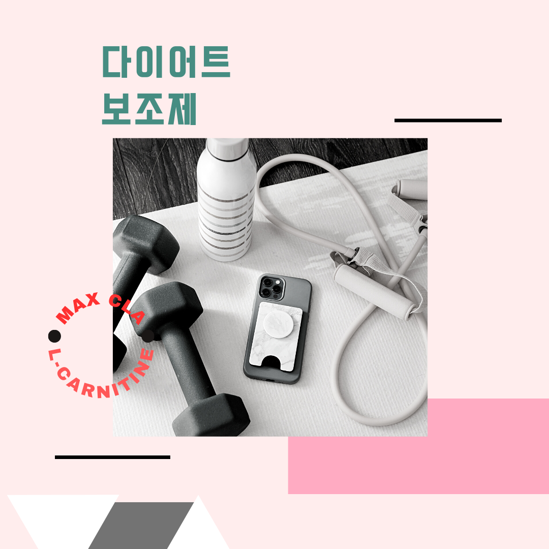  다이어트 보조제 맥스CLA, L-카르니틴 이란? 효능, 효과, 부작용, 섭취방법