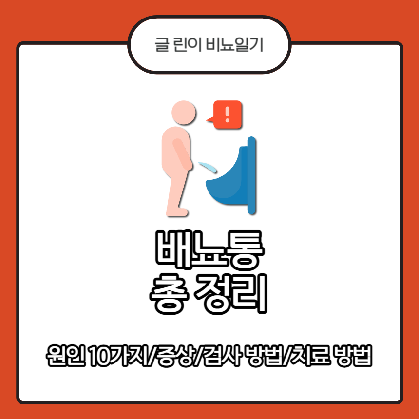  배뇨통 총 정리