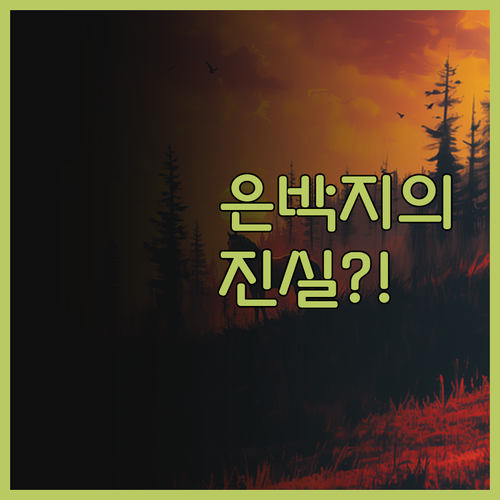 과자 봉지 속 은박지의 충격 비밀! 
