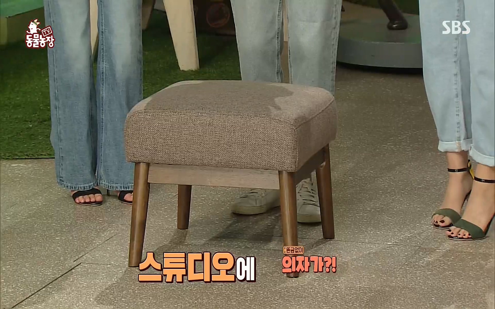 TV 동물농장.E1077.220710p.H264-F1RST.mp4_20220710_175420.367.jpg