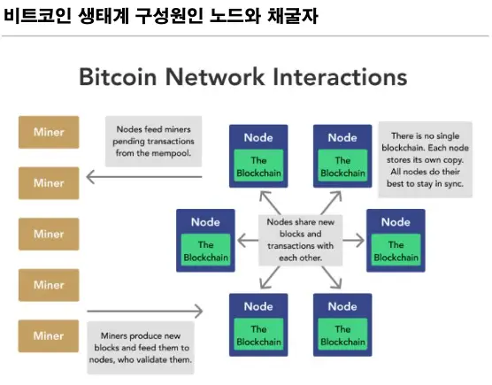 비트코인 생태계 구성원인 노드와 채굴자