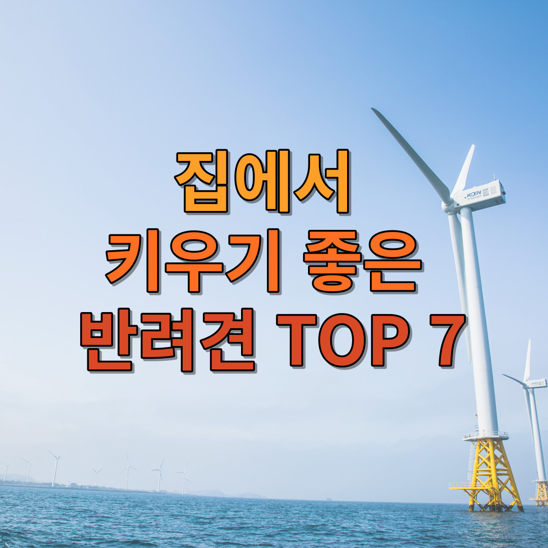 집에서 키우기 좋은 반려견 TOP 7