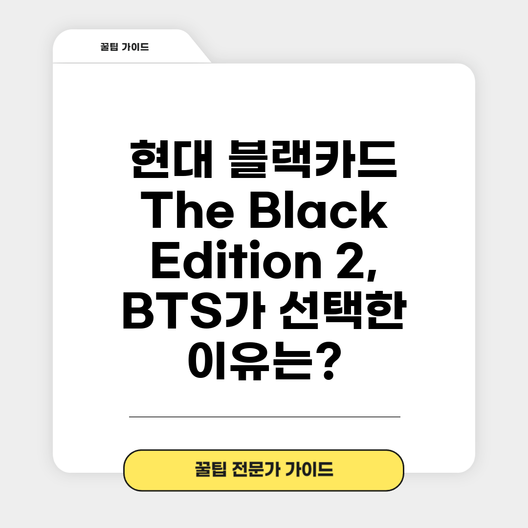 현대 블랙카드 The Black Edition 2, B