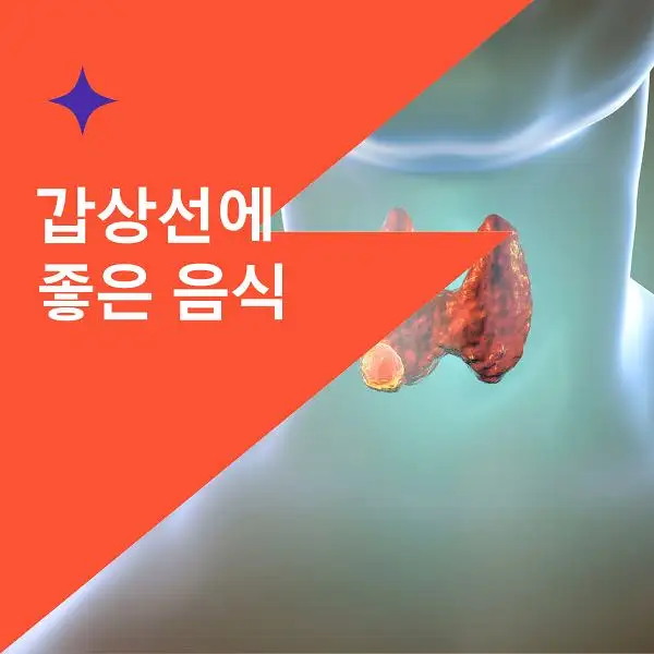 갑상선에 좋은 음식