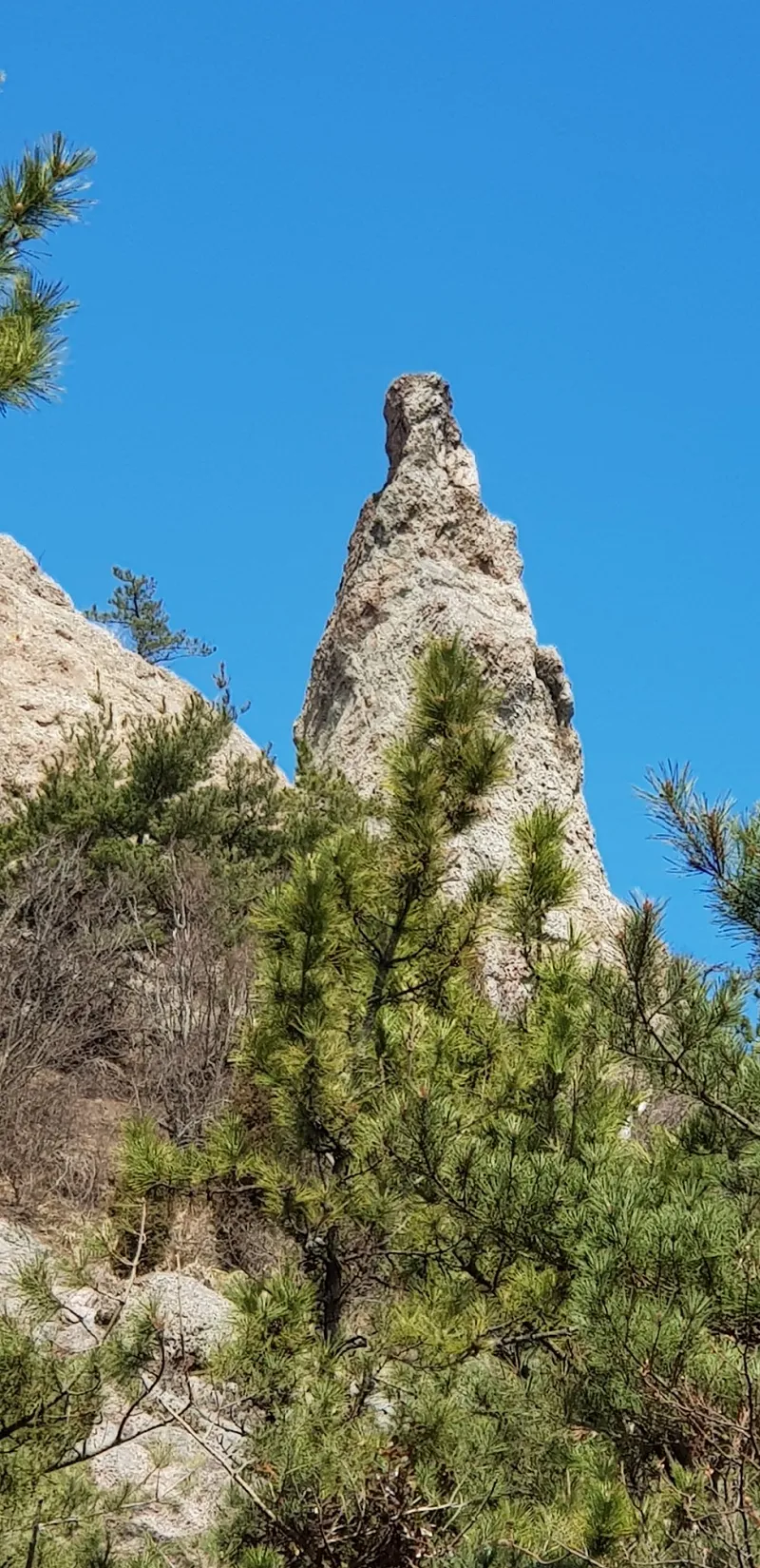 군산 선유도