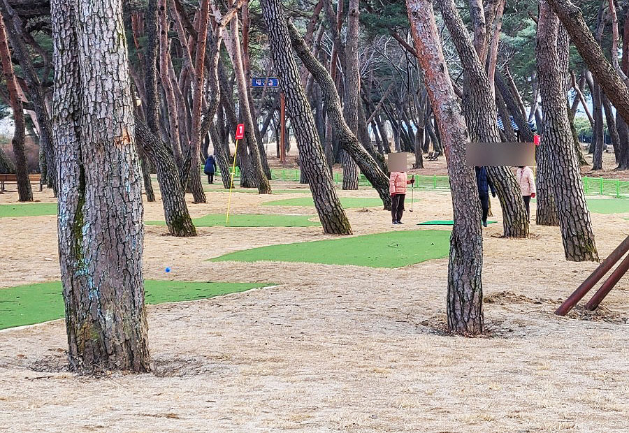 농암 대정파크골프장. 경상북도 문경시 농암면 종곡리 71-3