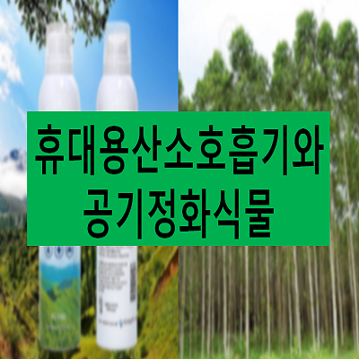 휴대용-산소호흡기-공기정화식물