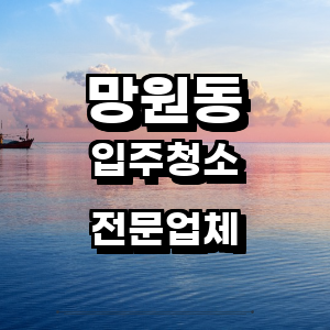 마포구 망원동 입주청소